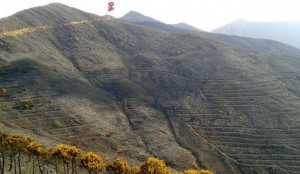 Observatorio FABA, señalado con (B) en superficie quemada.