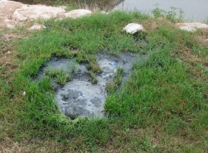 Imagen de los vertidos facilitada por IU.