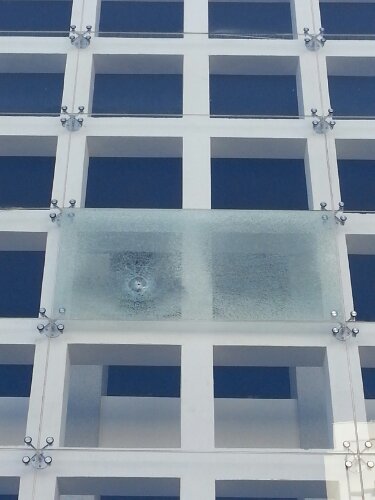 wpid-20130203_110516.jpg image