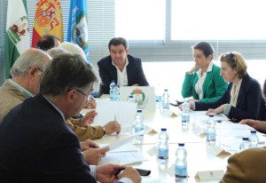 consejo economico y social