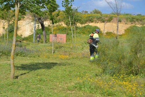 wpid-DSC_0391.JPG image