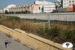 294999_378221702284046_2001676318_n