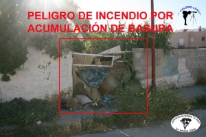 481509_378221802284036_151492820_n