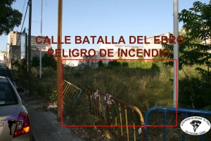 941979_378220802284136_132026023_n