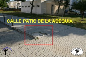 942488_378221922284024_260186544_n