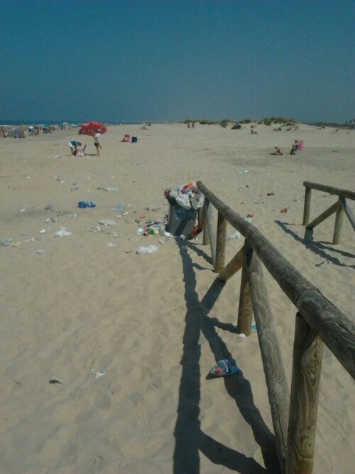 wpid-Suni-3.jpg image