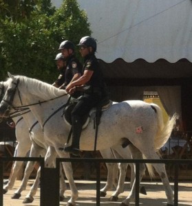 994218_10151812518767664_1322440966_n