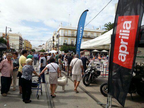 wpid-20130929_130047.jpg image