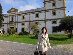 Cavada en cuatro torres