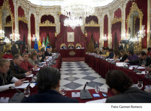 pleno de noviembre en apoyo a Navantia (1)