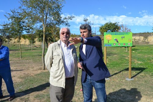 wpid-DSC_0030.JPG image