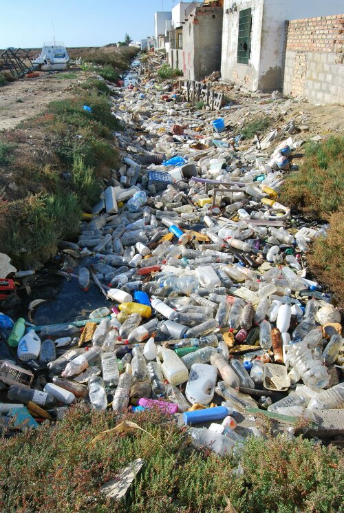 wpid-DSC_0106.JPG image