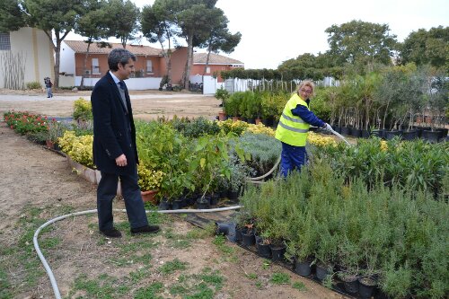 wpid-DSC_0486.JPG image