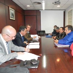 movimiento por el empleo