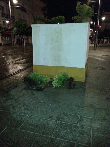 wpid-20140107_075042.jpg image