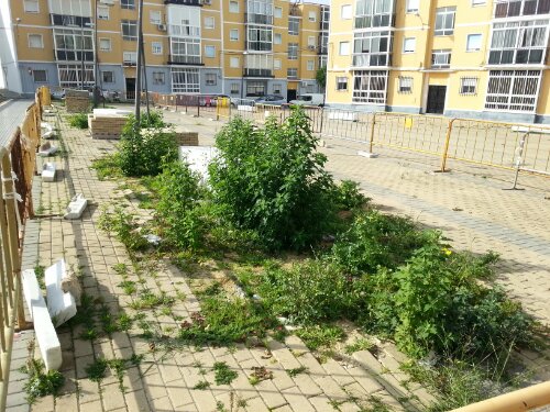 wpid-20140112_124120.jpg image