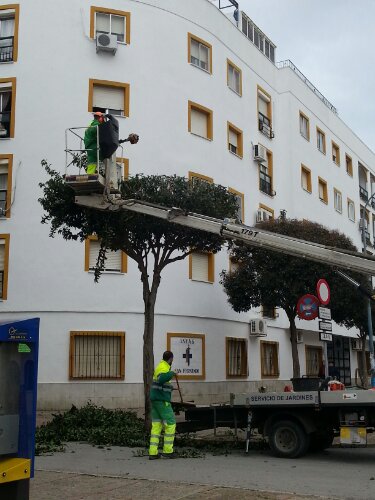 wpid-20140117_104916.jpg image