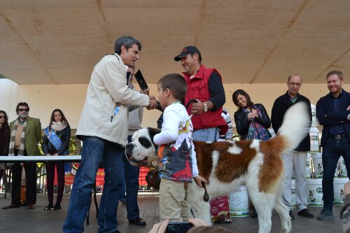 wpid-DSC_0526.JPG image