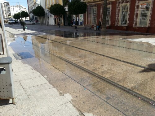 wpid-20140310_115057.jpg image