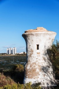 20140224_6451-Editar