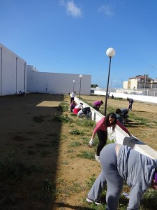 padres colegio camposoto