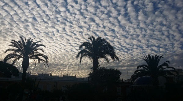 Alameda Moreno de Guerra_2