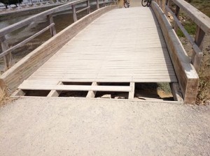 10556497_10202423299049626_3400464825738921052_n