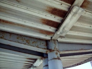 IMG-20140821-WA0004 (1)