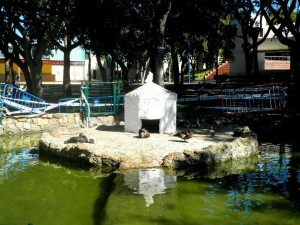 El estanque de los patos, vallado