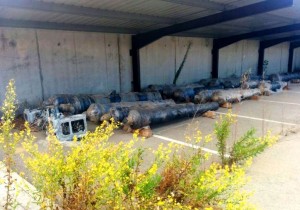 Los cañones, en 2014.