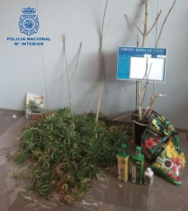 2014-10-14 San Fernando 2