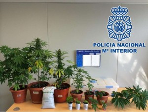 2014-10-14 San Fernando