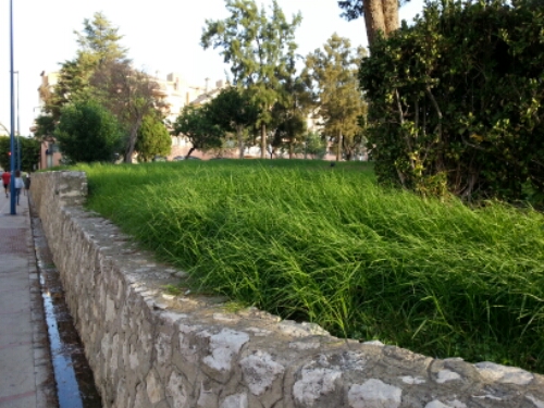 wpid-20141002_091108.jpg image