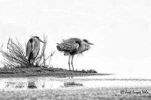 Una de las fotografías de la muestra de José Luque