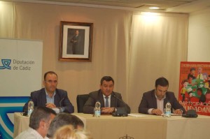 Consejo de participación