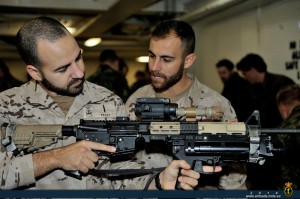 EXERCISE BOLD ALLIGATOR