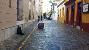 paraguas en la calle