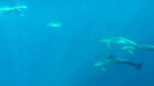 Fot 004 AlejandroEstrecho