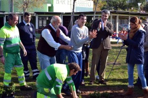 upace plantacion