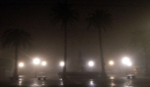 niebla