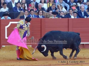 11119448_945624558802064_486514972_n