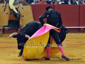 11125494_945624472135406_451045199_n