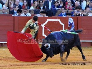 11160409_945624682135385_387518465_n