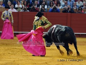 11160444_945624445468742_339692208_n