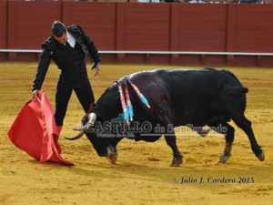 11160538_945624462135407_512500400_n