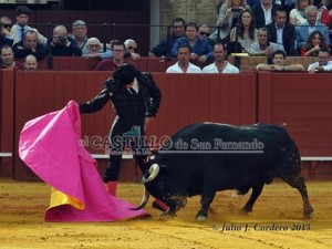 11164074_945624528802067_421855092_n