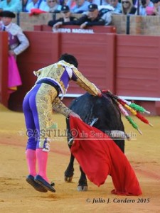 11164116_945624618802058_2023007562_n