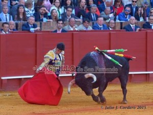 11165955_945624585468728_372562982_n