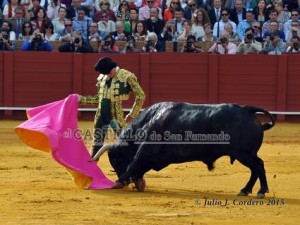 11173685_945624478802072_1829253964_n