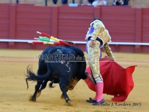 11173685_945624605468726_870865105_n